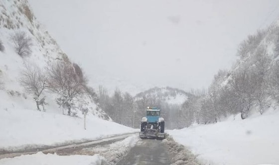 Фото: ГИБДД