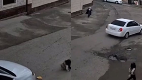 Кадры из видео