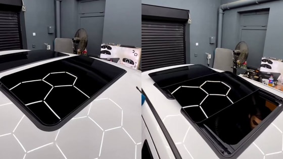 Фото: Кадры из видео