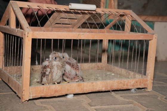 Фото: Минприроды