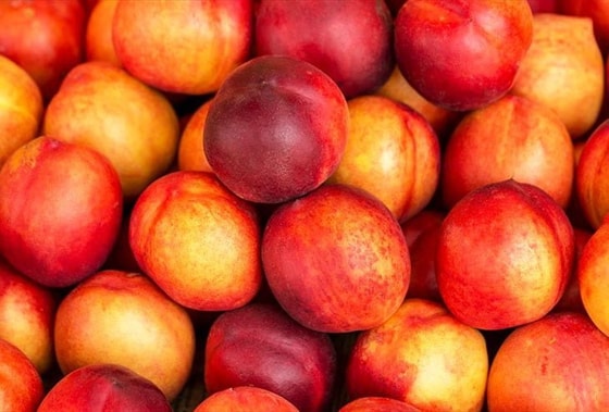 Фото: East Fruit