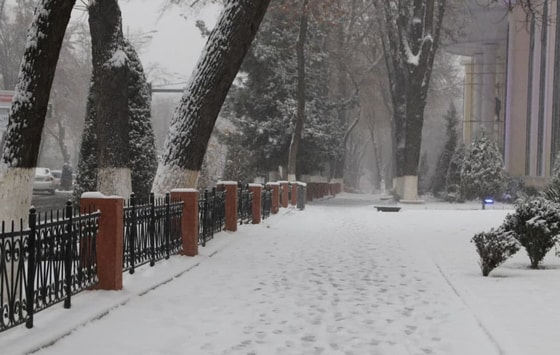 Фото: TezNews&nbsp;