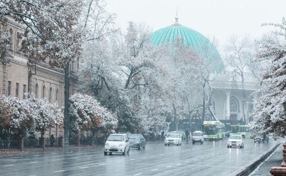 Facebook/Diplomat Travel