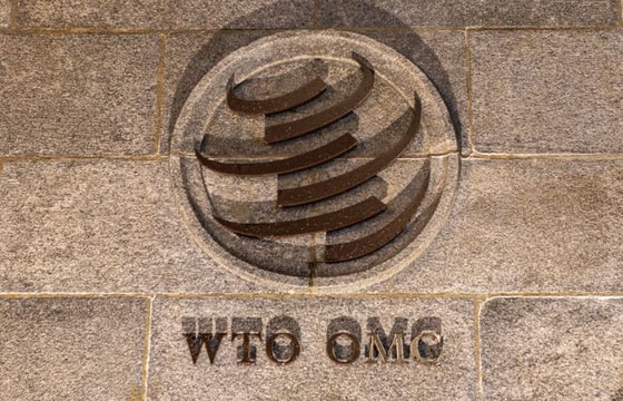 Фото: Robert Hradil / Getty Images