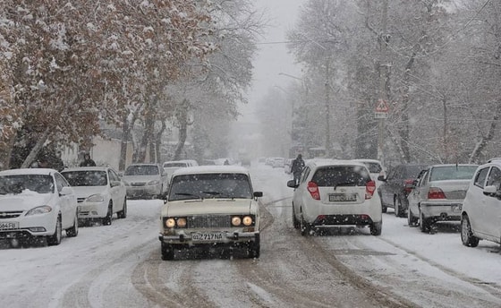 Фото: podrobno.uz