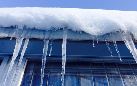 Фото: Открытые источники