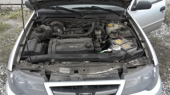 Фото: nikson61.ru