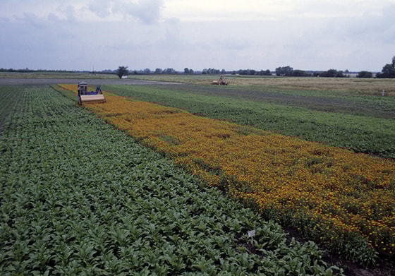 Фото:&nbsp;uz.utro.news