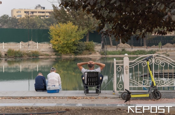 Ситуативное фото / Repost.uz