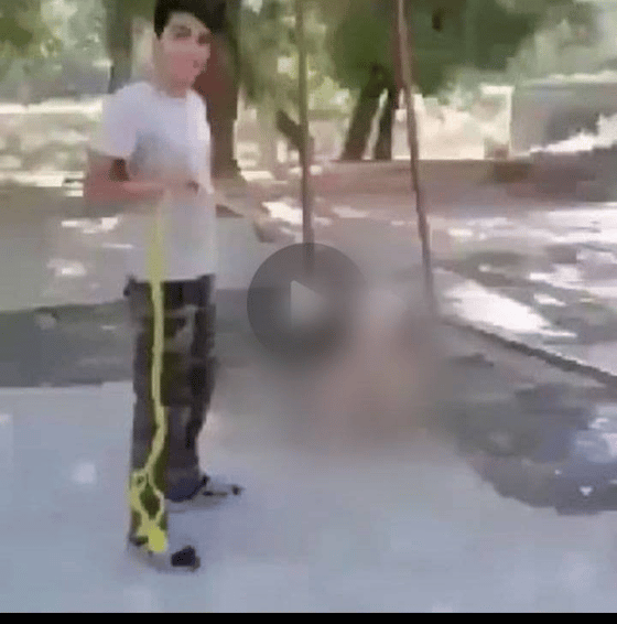 Фото: ОЗЖ «Мехр ва Окибат»