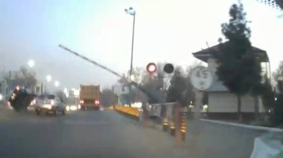 Фото: Скриншот из видео