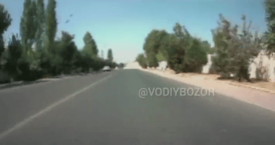 Кадр из видео