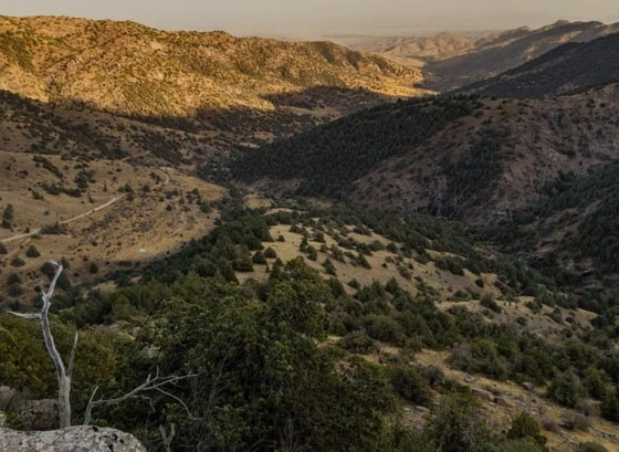 Фото: Минэкологии