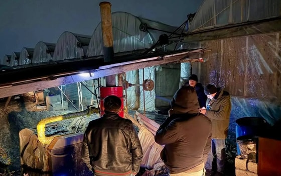 Фото: Комитет по экологии