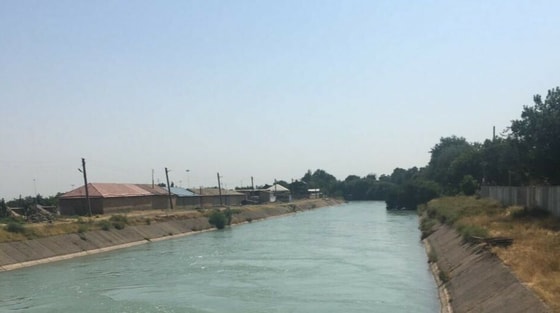 Ситуативное фото / Открытые источники