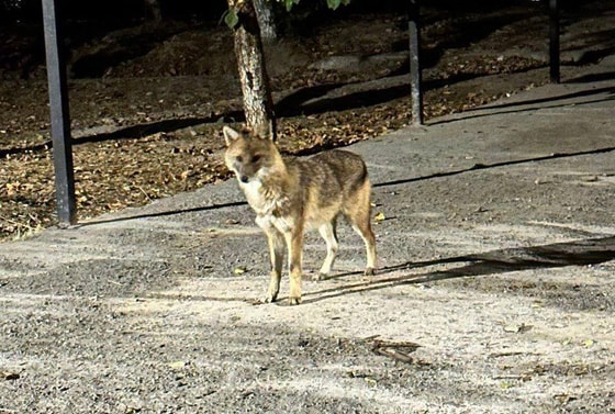 Фото: Минэкологии