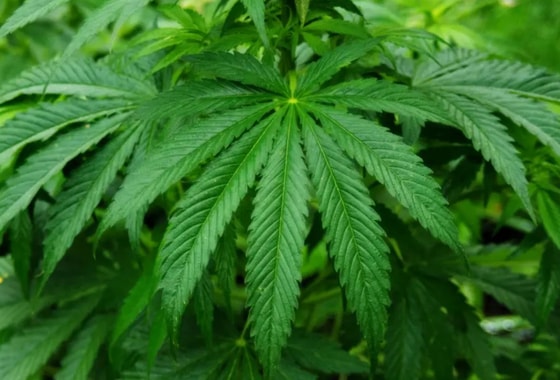 Фото: openbusiness.ru