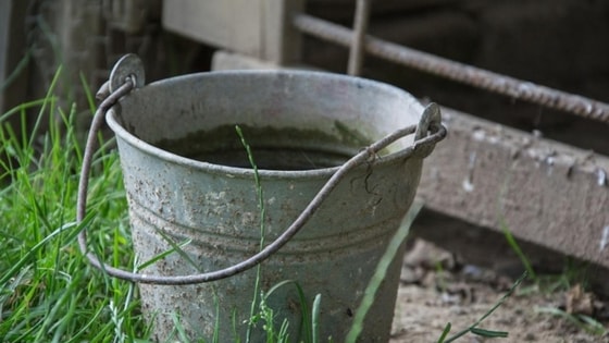 Фото:&nbsp;depositphotos.com