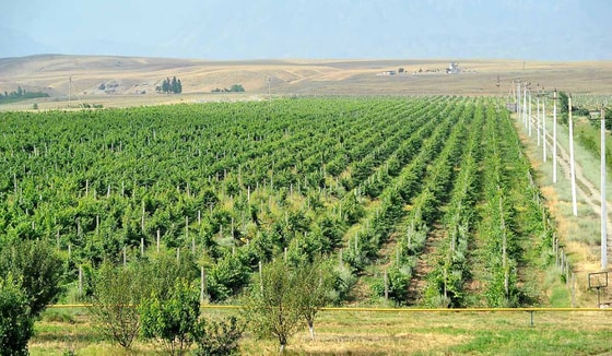 Фото: открытый источник