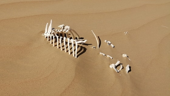 Фото:&nbsp;hightech.fm