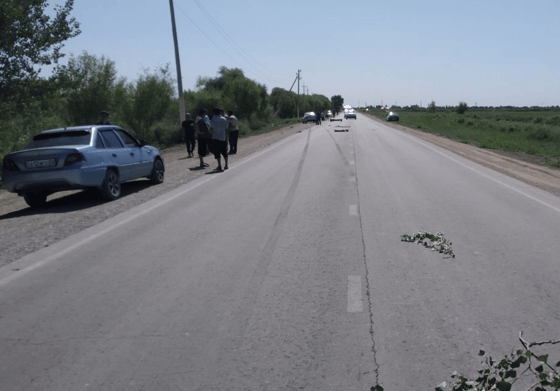 Фото:&nbsp;пресс-служба ГУБДД МВД