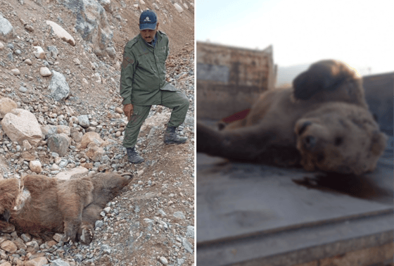 Фото: Управление экологии Ташкентской области