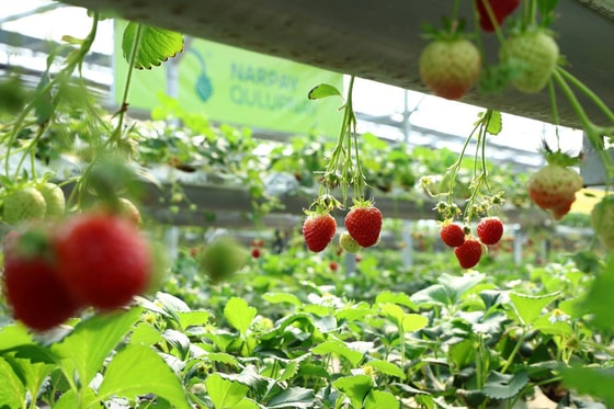 Фото: Пресс-служба президента