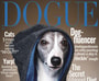 Dogue - последние новости от команды Repost.uz