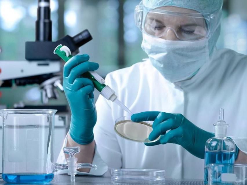 Найден путь удержания распространения раковых клеток