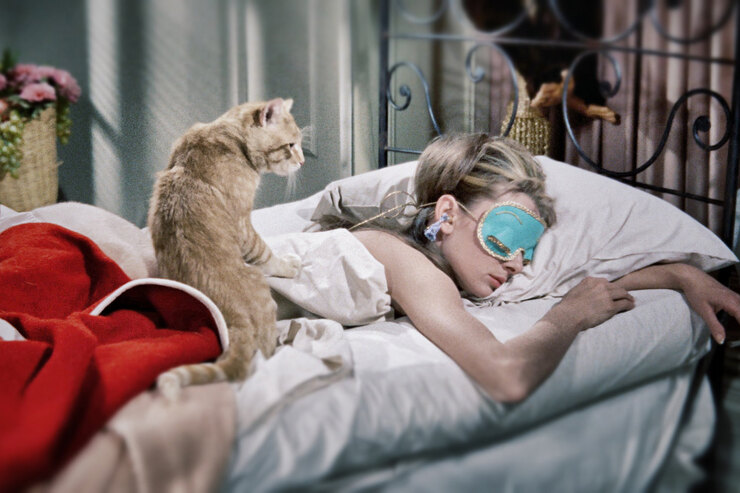 Какие привычки сна есть у Бейонсе, Трампа, Роналду и других успешных людей