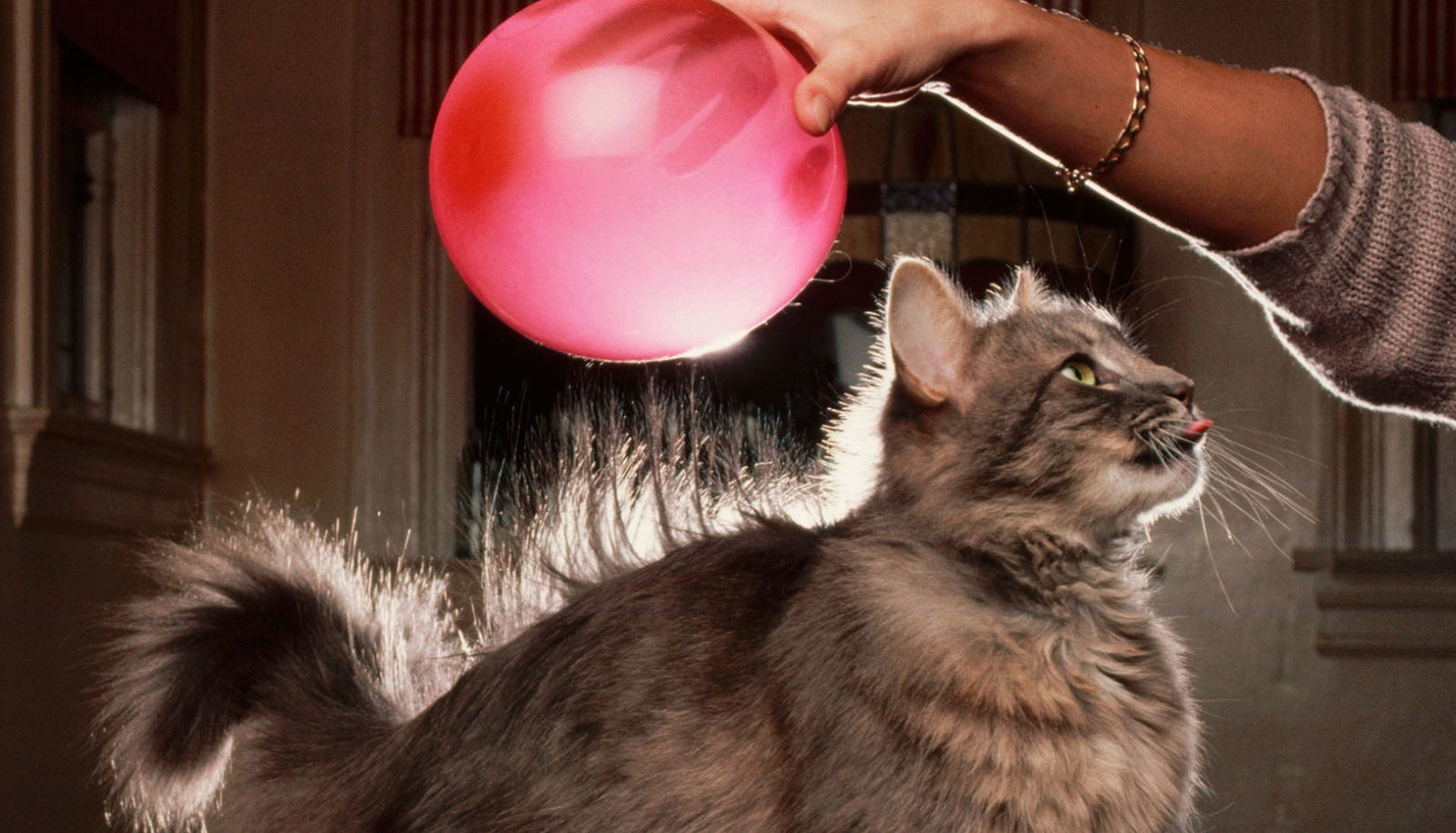 Почему человек бьется током, и можно ли этого избежать?