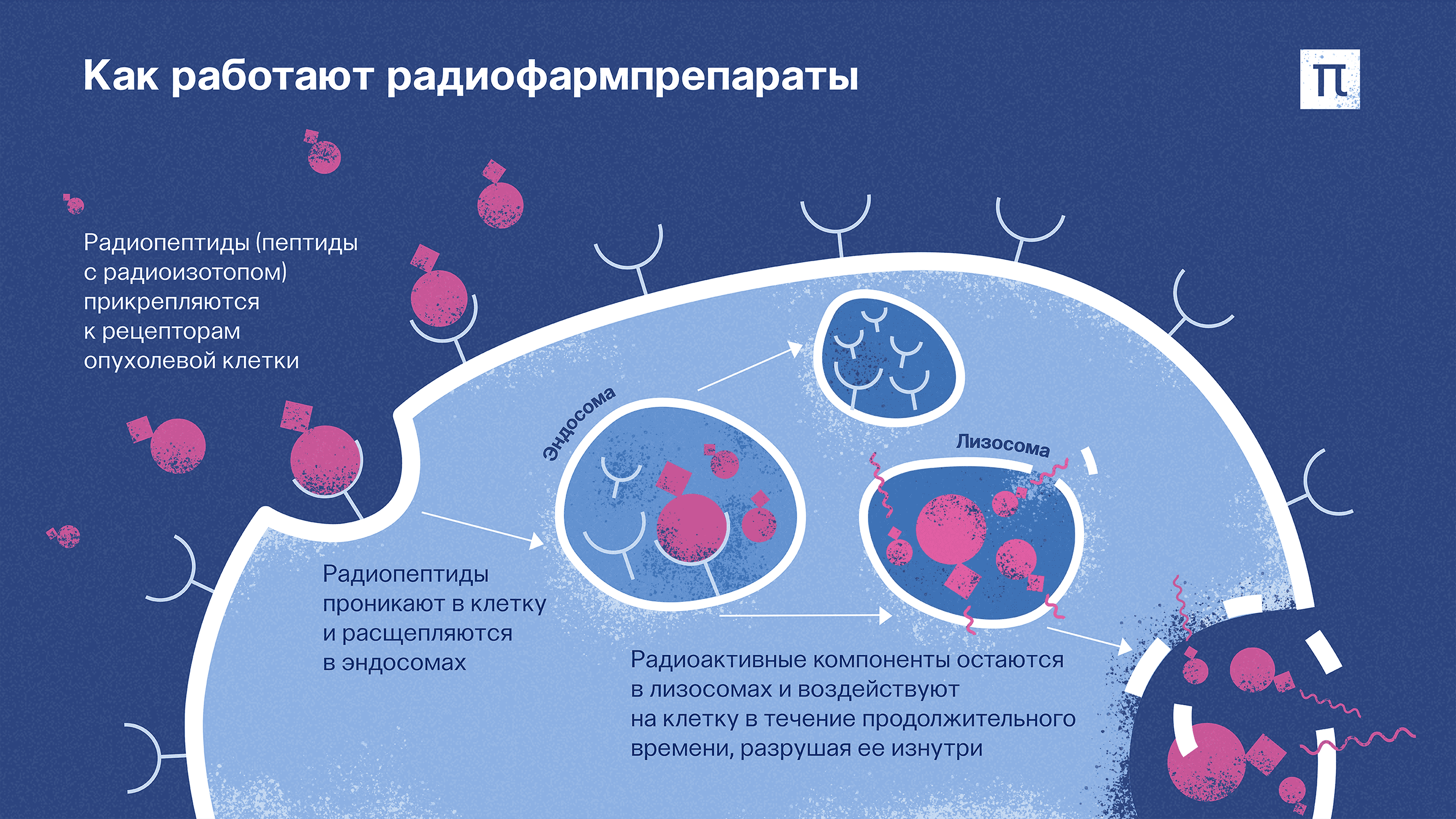 Фото: ПостНаука