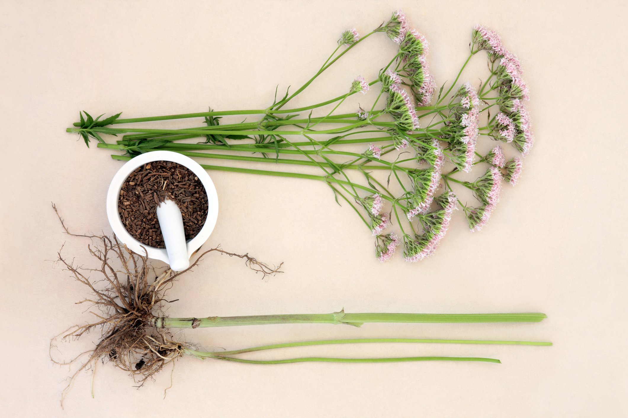 Диетолог назвала два эффективных средства для улучшения сна