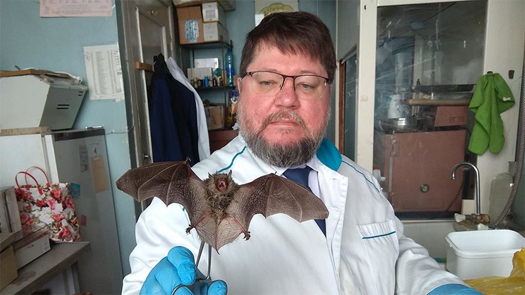 Коронавирусная инфекция «утекла» из лабораторий — эксперт