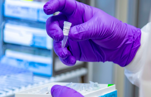 В Израиле разработали лекарство от COVID-19 из стволовых клеток