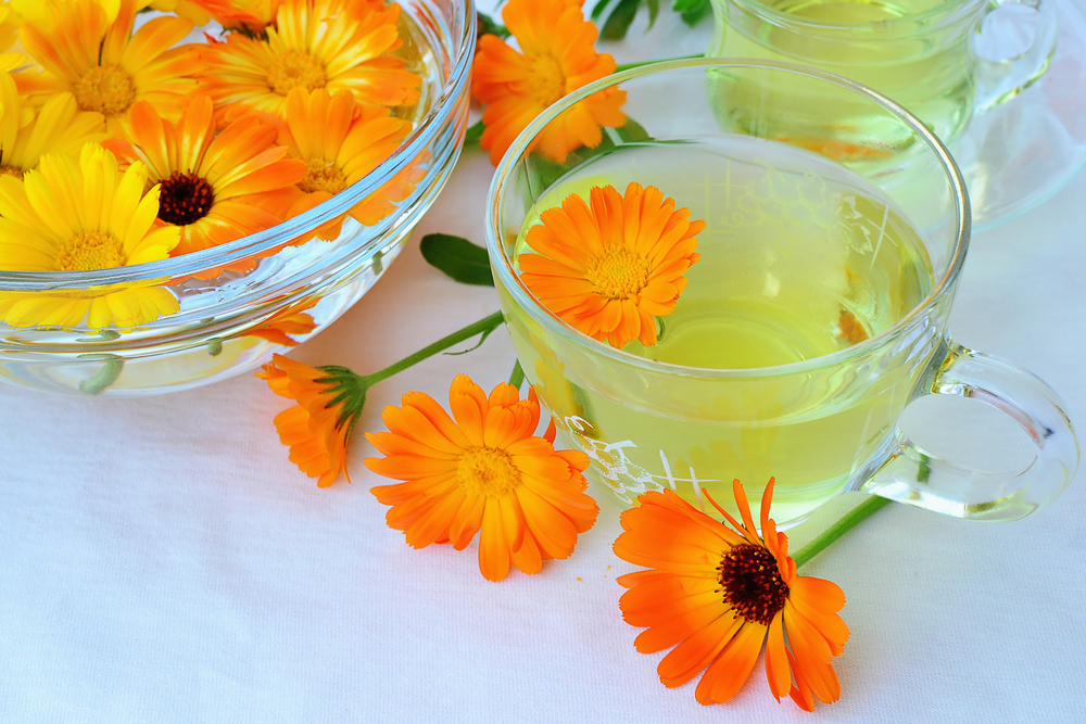 Какие растения помогут залечить ушибы и раны?