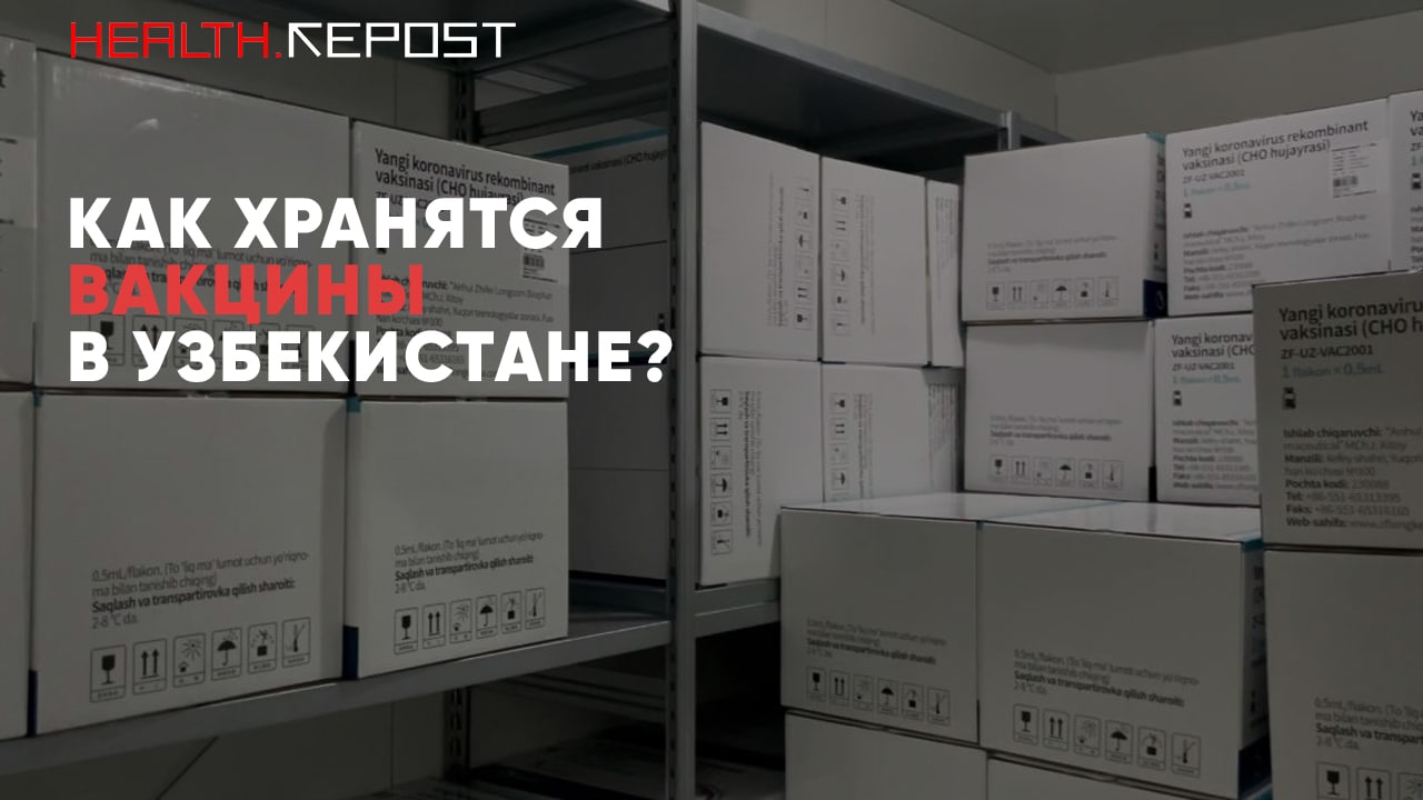 Как и где хранятся вакцины: весь путь от аэропорта до поликлиники — фото