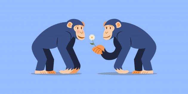 6 мифов о генах, которые были опровергнуты, но люди продолжают в них верить