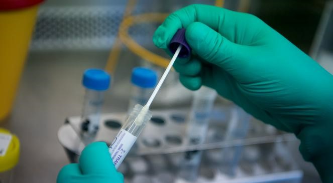 Сколько человек заразились «короной» за вчерашний день — статистика