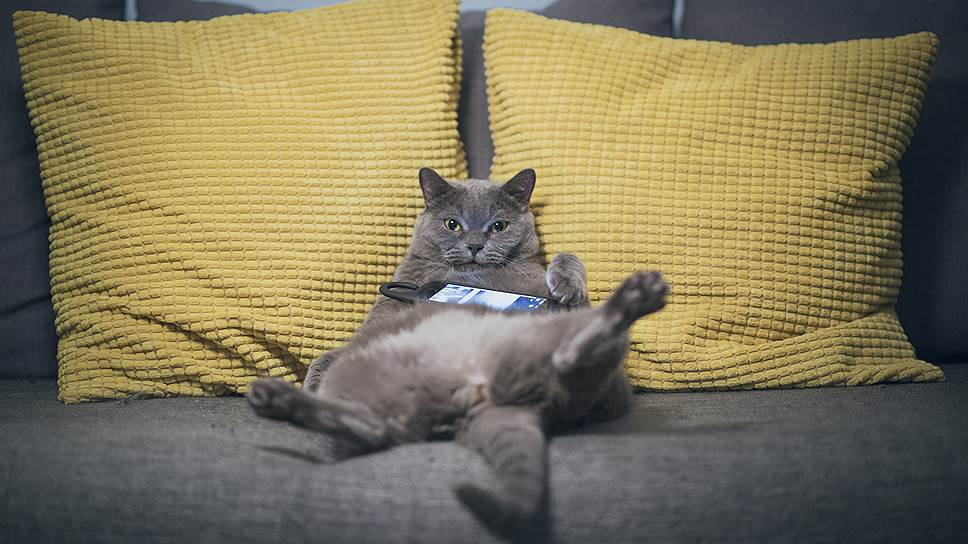 3 способа начать делать то, чего делать не хочется