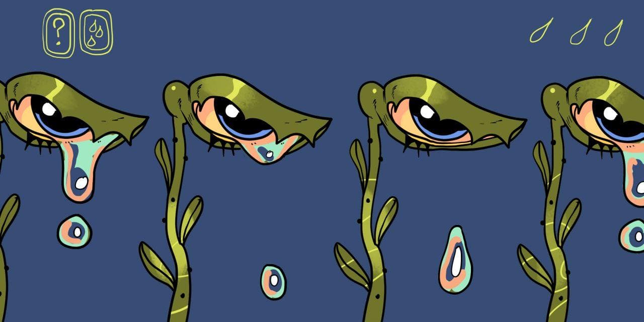 Почему у вас слезятся глаза и что с этим делать – 14 причин