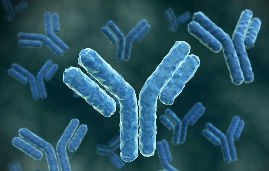  Нурмат Отабеков рассказал, нужно ли делать тест на антитела до вакцинации