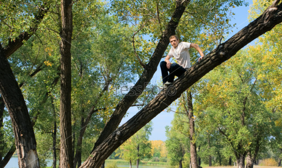 Во избежание прививки от «короны» мужчина забрался на дерево и отказался спускаться