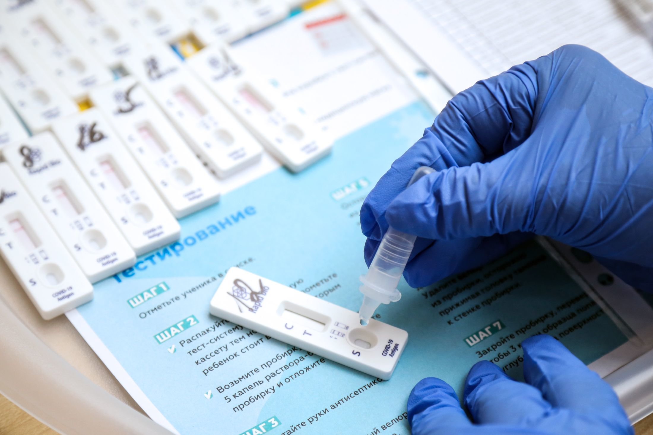 В России создали новую тест-систему для выявления штамма «омикрон»