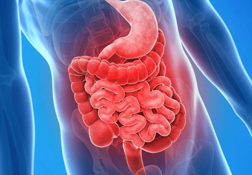 Диетолог рассказала, какие продукты помогут сохранить здоровье кишечника