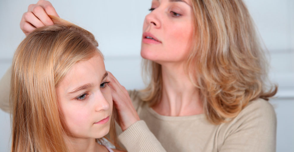 Вши не умеют прыгать и летать: что еще нужно знать о педикулёзе