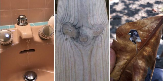 Фото: Лайфхакер