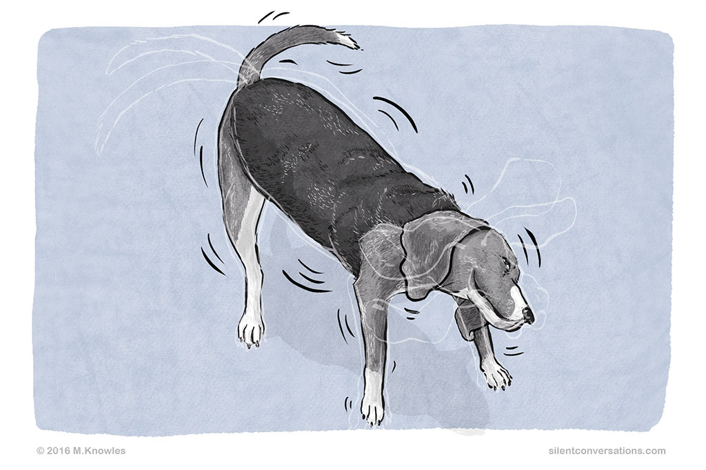 Если сильно потрясти телом, поможет ли это в снятии стресса?