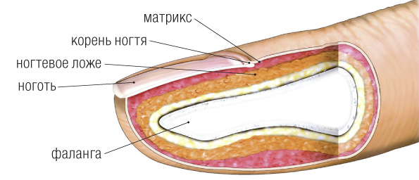 Фото: Вокруг света