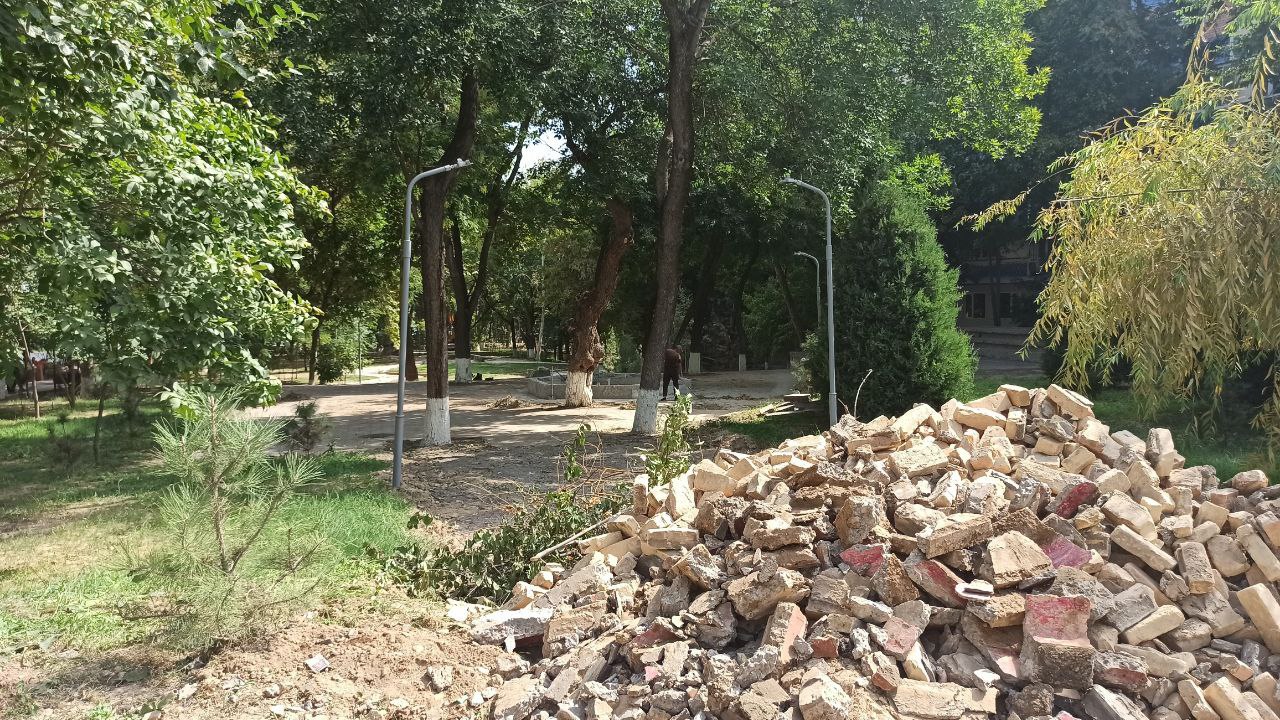 Фото: Открытые источники